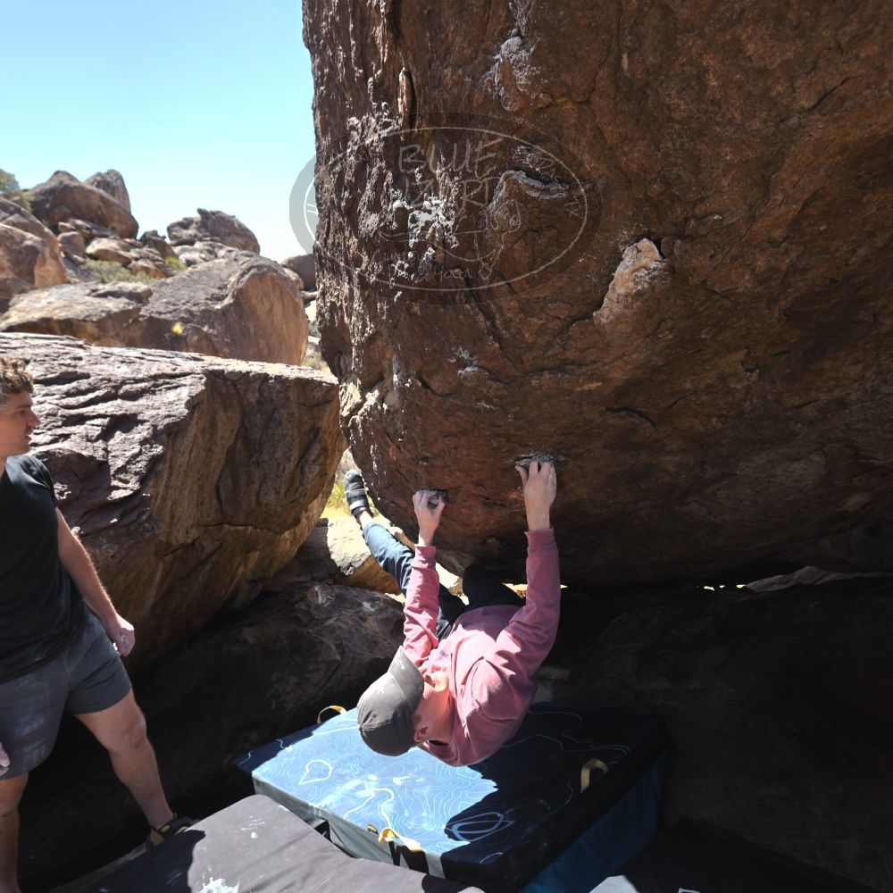 

Filename: SRM_20220319_1153310.jpg
Aperture: f/5.6
Shutter Speed: 1/500
Body: Canon EOS R6
Lens: Canon EF 16-35mm f/2.8 L