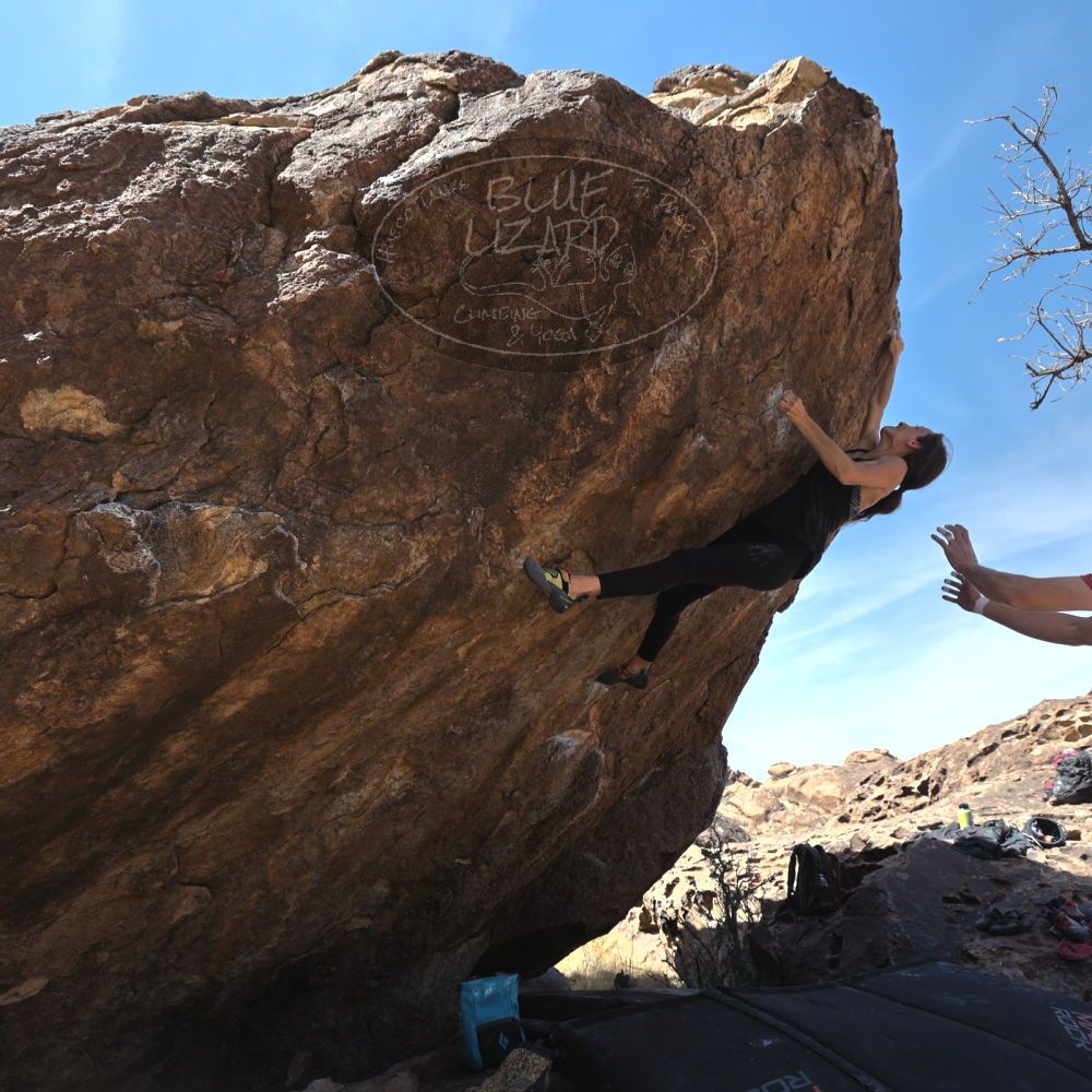 Filename: SRM_20220319_1154080.jpg
Aperture: f/5.6
Shutter Speed: 1/500
Body: Canon EOS R6
Lens: Canon EF 16-35mm f/2.8 L