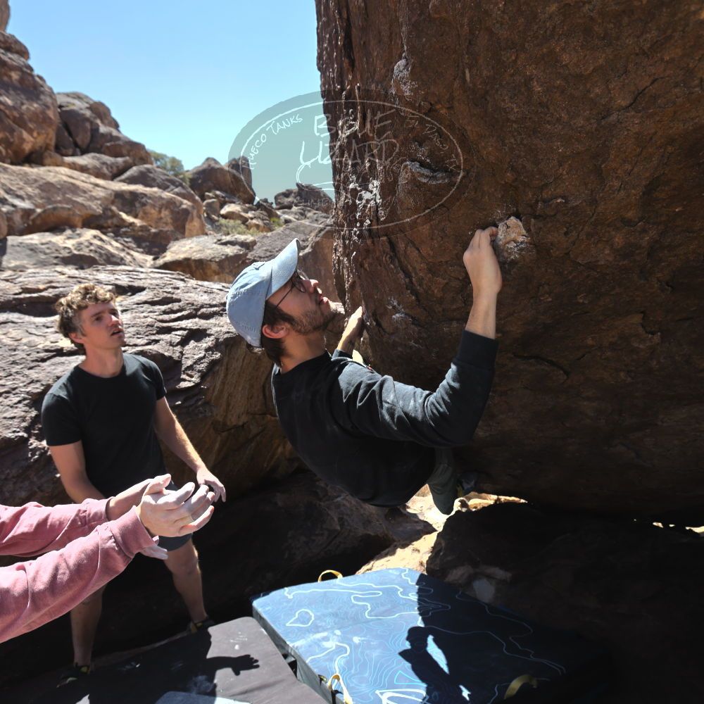 

Filename: SRM_20220319_1154460.jpg
Aperture: f/5.6
Shutter Speed: 1/500
Body: Canon EOS R6
Lens: Canon EF 16-35mm f/2.8 L