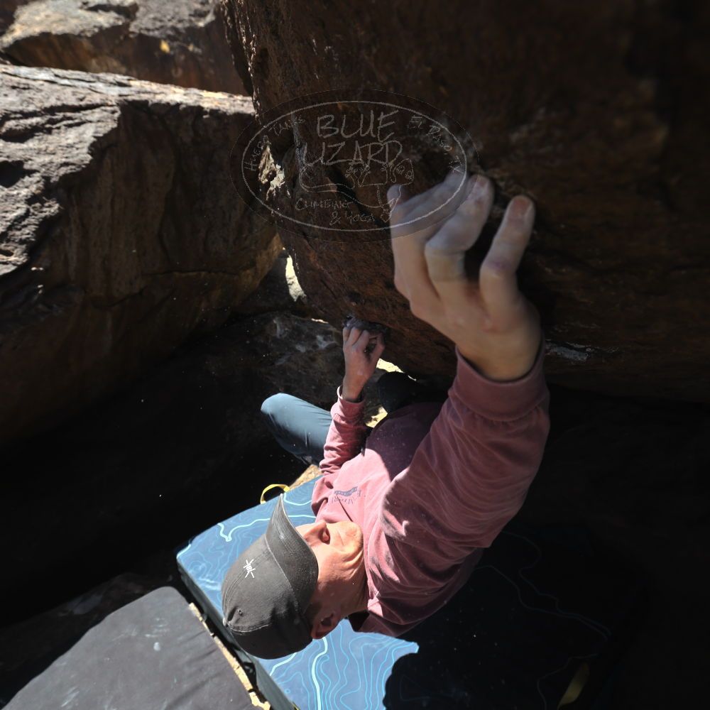 Filename: SRM_20220319_1204250.jpg
Aperture: f/5.6
Shutter Speed: 1/500
Body: Canon EOS R6
Lens: Canon EF 16-35mm f/2.8 L