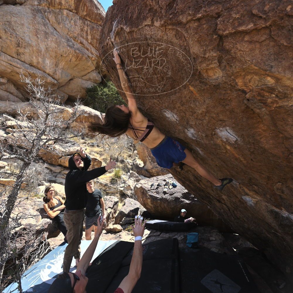 Filename: SRM_20220319_1208350.jpg
Aperture: f/5.6
Shutter Speed: 1/500
Body: Canon EOS R6
Lens: Canon EF 16-35mm f/2.8 L