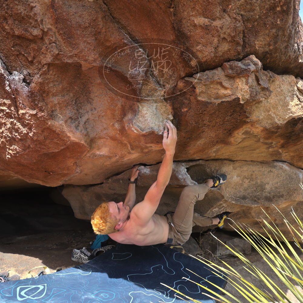 

Filename: SRM_20220319_1301580.jpg
Aperture: f/5.6
Shutter Speed: 1/500
Body: Canon EOS R6
Lens: Canon EF 16-35mm f/2.8 L