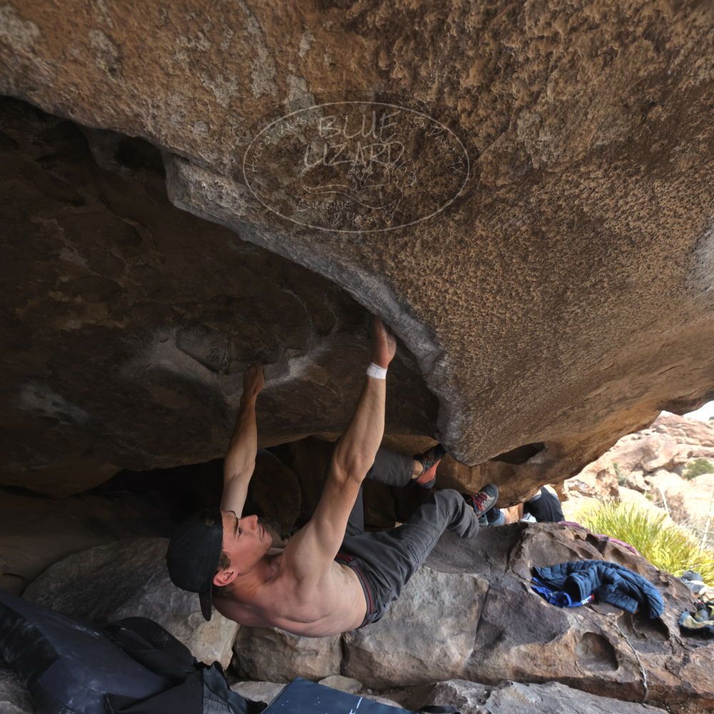 

Filename: SRM_20220319_1329260.jpg
Aperture: f/5.6
Shutter Speed: 1/400
Body: Canon EOS R6
Lens: Canon EF 16-35mm f/2.8 L