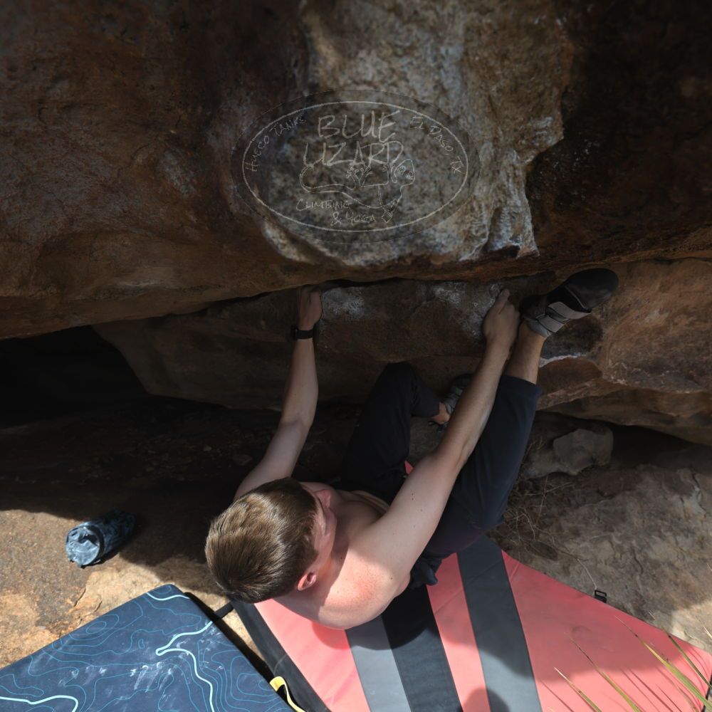 

Filename: SRM_20220319_1330500.jpg
Aperture: f/5.6
Shutter Speed: 1/400
Body: Canon EOS R6
Lens: Canon EF 16-35mm f/2.8 L