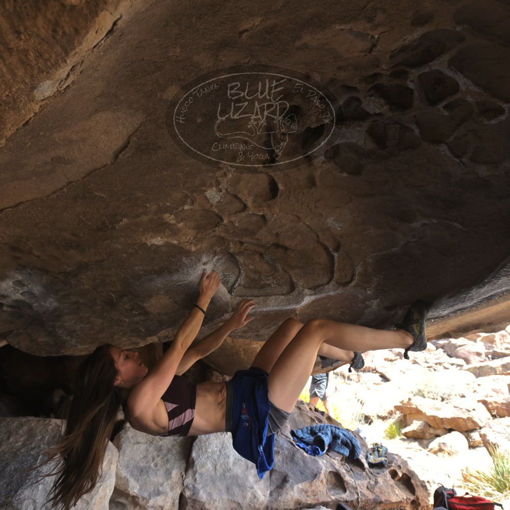 

Filename: SRM_20220319_1334230.jpg
Aperture: f/5.6
Shutter Speed: 1/400
Body: Canon EOS R6
Lens: Canon EF 16-35mm f/2.8 L