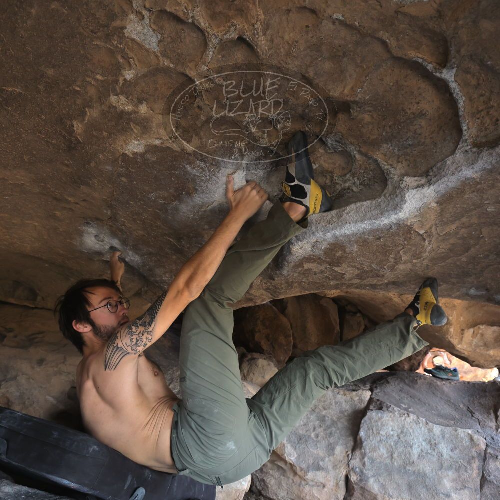 

Filename: SRM_20220319_1342281.jpg
Aperture: f/5.6
Shutter Speed: 1/400
Body: Canon EOS R6
Lens: Canon EF 16-35mm f/2.8 L