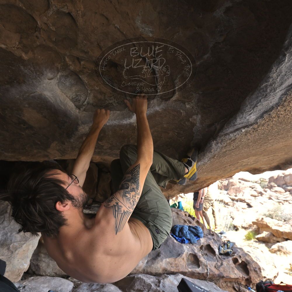 Filename: SRM_20220319_1342320.jpg
Aperture: f/5.6
Shutter Speed: 1/400
Body: Canon EOS R6
Lens: Canon EF 16-35mm f/2.8 L