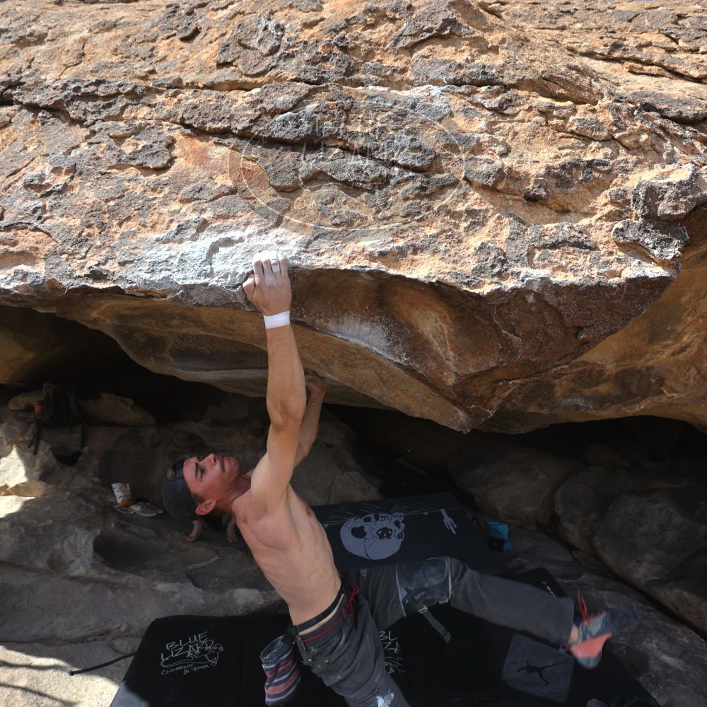 

Filename: SRM_20220319_1354041.jpg
Aperture: f/5.6
Shutter Speed: 1/400
Body: Canon EOS R6
Lens: Canon EF 16-35mm f/2.8 L