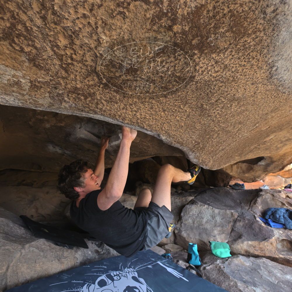 Filename: SRM_20220319_1404270.jpg
Aperture: f/5.6
Shutter Speed: 1/400
Body: Canon EOS R6
Lens: Canon EF 16-35mm f/2.8 L