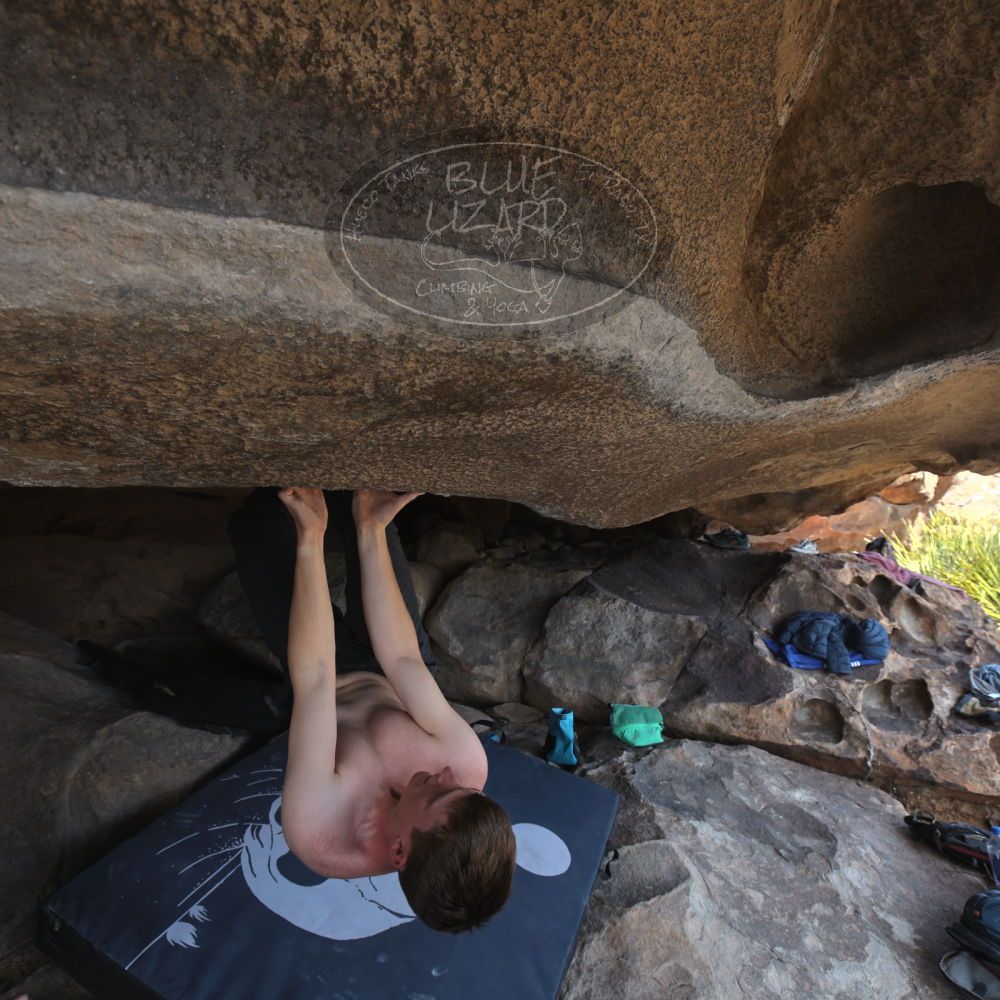 

Filename: SRM_20220319_1408070.jpg
Aperture: f/5.6
Shutter Speed: 1/400
Body: Canon EOS R6
Lens: Canon EF 16-35mm f/2.8 L