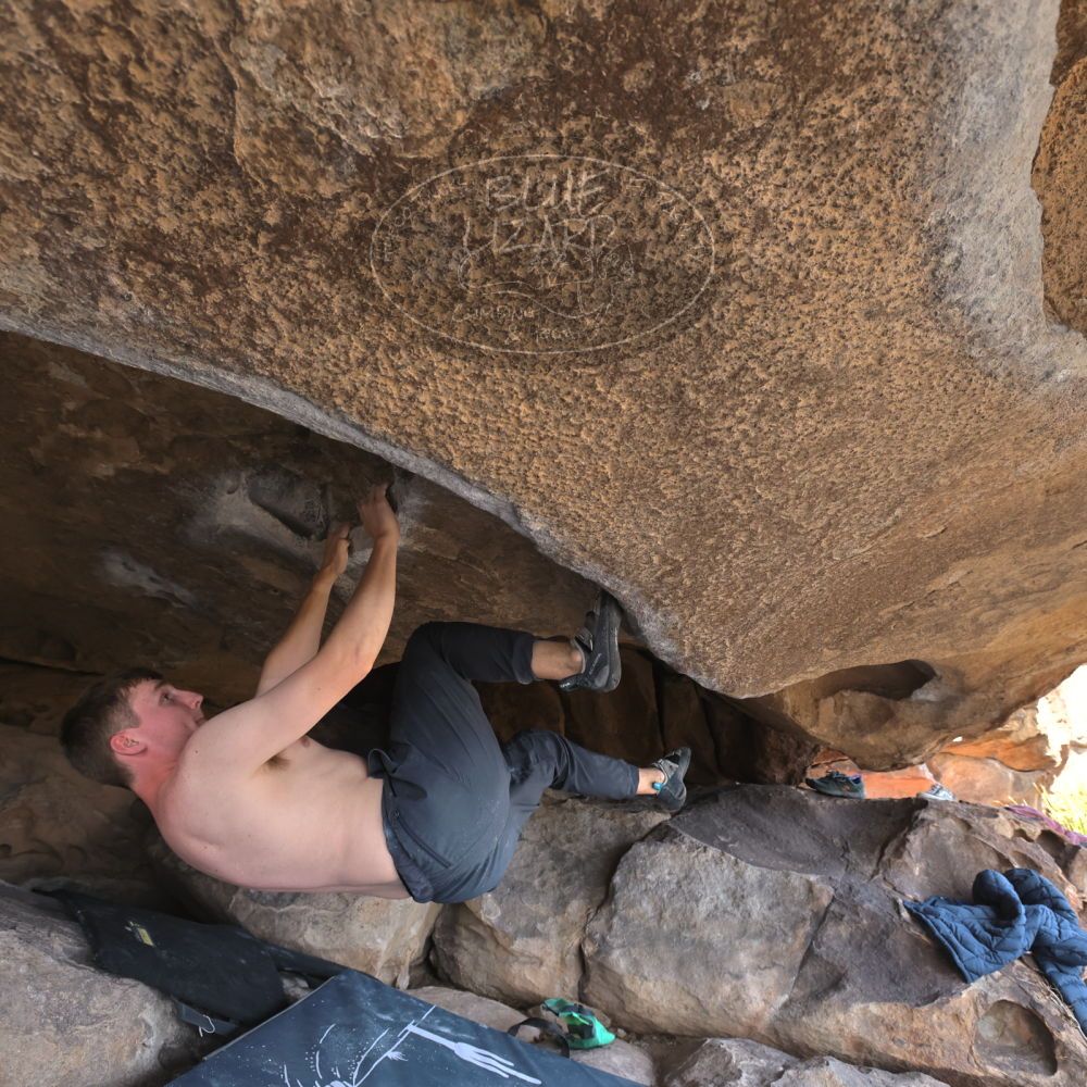 Filename: SRM_20220319_1418140.jpg
Aperture: f/5.6
Shutter Speed: 1/400
Body: Canon EOS R6
Lens: Canon EF 16-35mm f/2.8 L