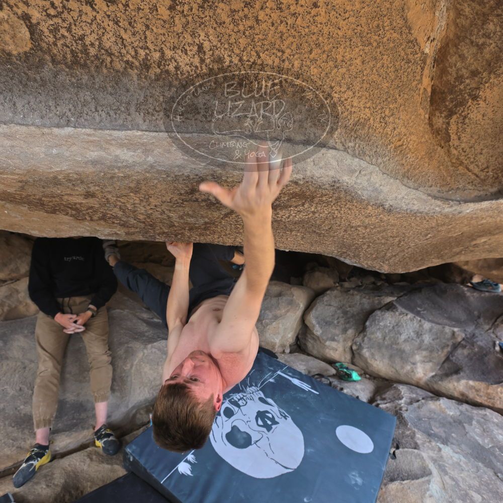 

Filename: SRM_20220319_1418370.jpg
Aperture: f/5.6
Shutter Speed: 1/400
Body: Canon EOS R6
Lens: Canon EF 16-35mm f/2.8 L