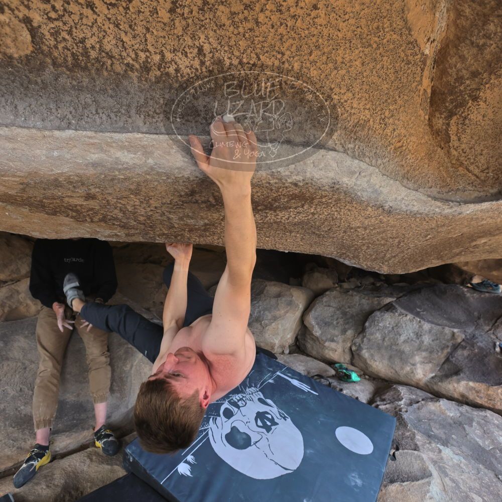 

Filename: SRM_20220319_1418371.jpg
Aperture: f/5.6
Shutter Speed: 1/400
Body: Canon EOS R6
Lens: Canon EF 16-35mm f/2.8 L