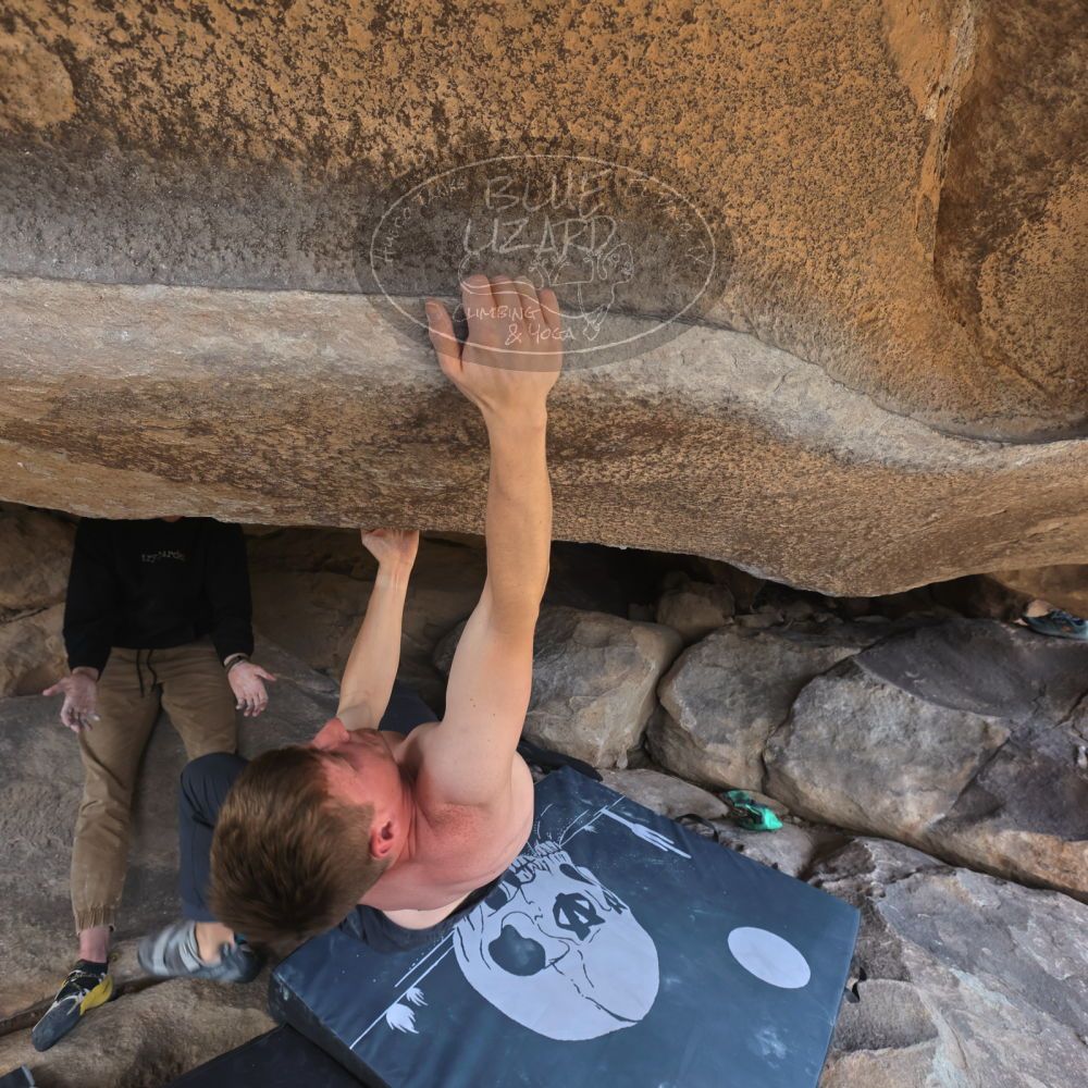 Filename: SRM_20220319_1418372.jpg
Aperture: f/5.6
Shutter Speed: 1/400
Body: Canon EOS R6
Lens: Canon EF 16-35mm f/2.8 L