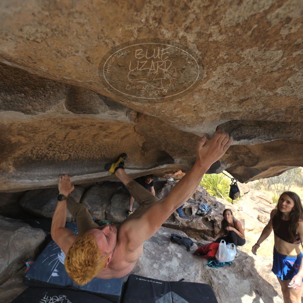 Filename: SRM_20220319_1421210.jpg
Aperture: f/5.6
Shutter Speed: 1/400
Body: Canon EOS R6
Lens: Canon EF 16-35mm f/2.8 L