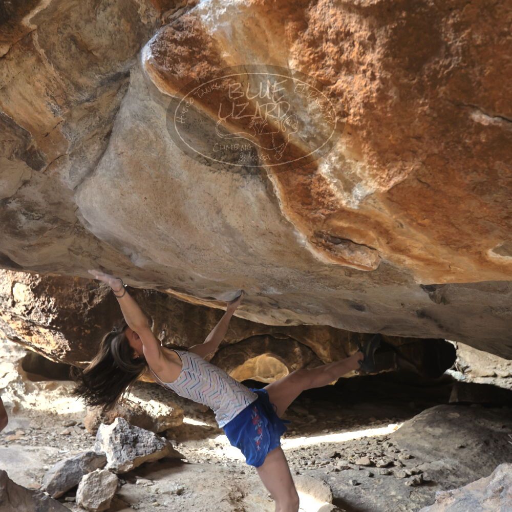 

Filename: SRM_20220319_1559200.jpg
Aperture: f/4.0
Shutter Speed: 1/320
Body: Canon EOS R6
Lens: Canon EF 16-35mm f/2.8 L