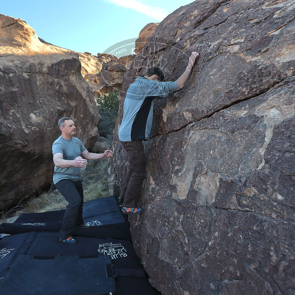 

Filename: SRM_20220403_0804590.jpg
Aperture: f/4.0
Shutter Speed: 1/400
Body: Canon EOS R6
Lens: Canon EF 16-35mm f/2.8 L