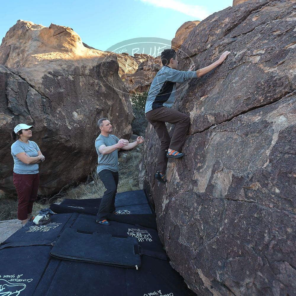 

Filename: SRM_20220403_0805060.jpg
Aperture: f/4.0
Shutter Speed: 1/250
Body: Canon EOS R6
Lens: Canon EF 16-35mm f/2.8 L