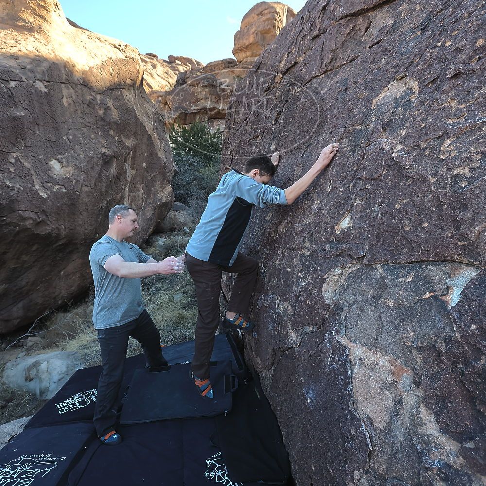 

Filename: SRM_20220403_0810540.jpg
Aperture: f/5.6
Shutter Speed: 1/250
Body: Canon EOS R6
Lens: Canon EF 16-35mm f/2.8 L