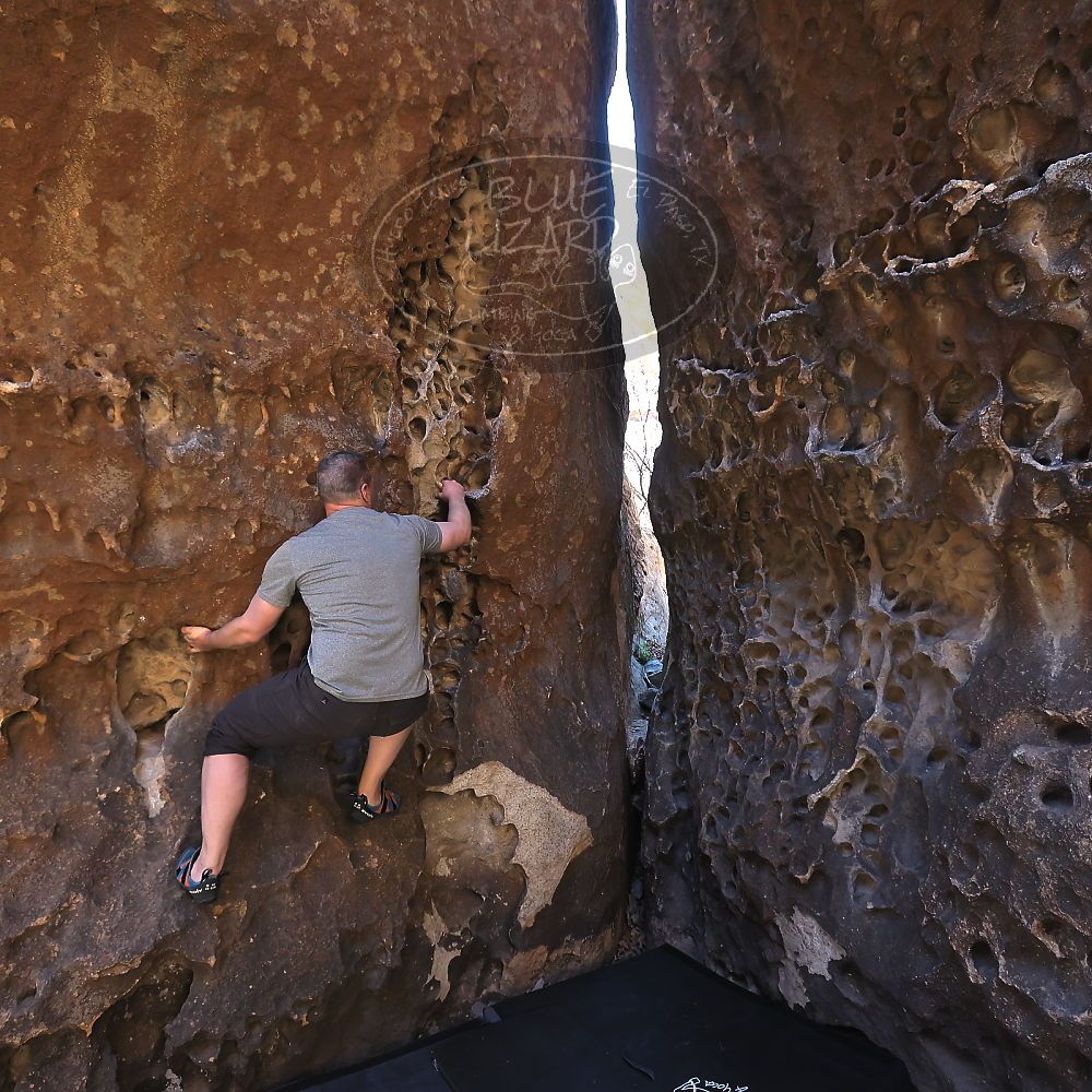 

Filename: SRM_20220403_0958040.jpg
Aperture: f/5.6
Shutter Speed: 1/160
Body: Canon EOS R6
Lens: Canon EF 16-35mm f/2.8 L