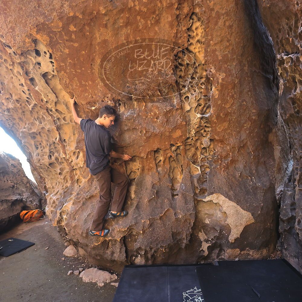 

Filename: SRM_20220403_1000230.jpg
Aperture: f/5.6
Shutter Speed: 1/160
Body: Canon EOS R6
Lens: Canon EF 16-35mm f/2.8 L