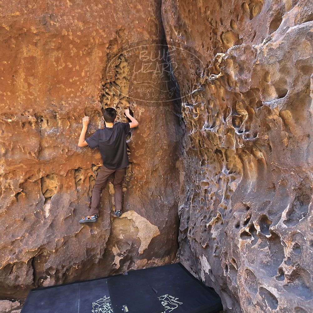 

Filename: SRM_20220403_1001070.jpg
Aperture: f/5.6
Shutter Speed: 1/160
Body: Canon EOS R6
Lens: Canon EF 16-35mm f/2.8 L