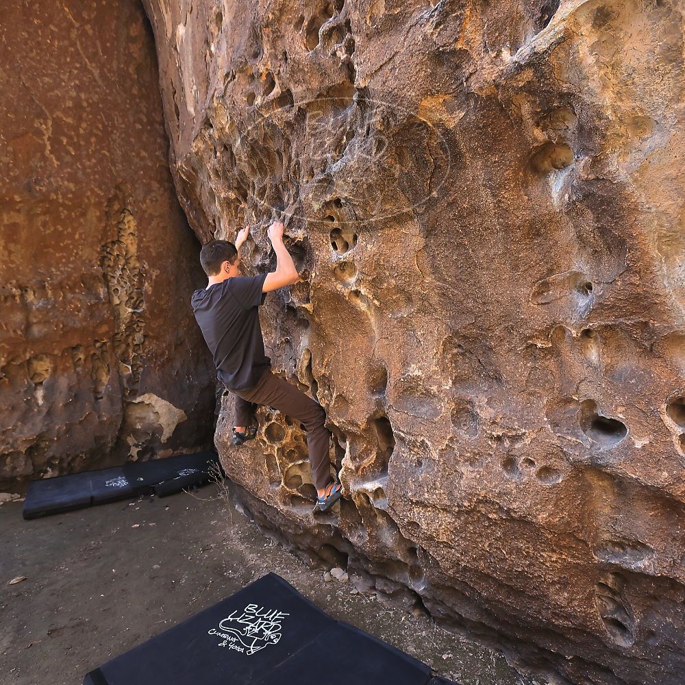 

Filename: SRM_20220403_1002530.jpg
Aperture: f/5.6
Shutter Speed: 1/160
Body: Canon EOS R6
Lens: Canon EF 16-35mm f/2.8 L