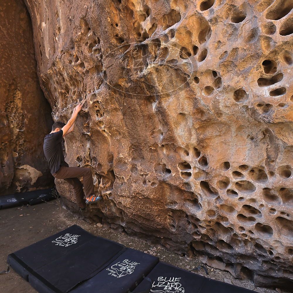 

Filename: SRM_20220403_1002580.jpg
Aperture: f/5.6
Shutter Speed: 1/160
Body: Canon EOS R6
Lens: Canon EF 16-35mm f/2.8 L