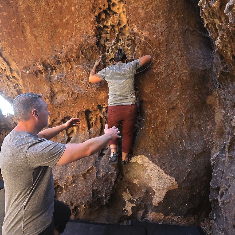 

Filename: SRM_20220403_1005050.jpg
Aperture: f/5.6
Shutter Speed: 1/160
Body: Canon EOS R6
Lens: Canon EF 16-35mm f/2.8 L