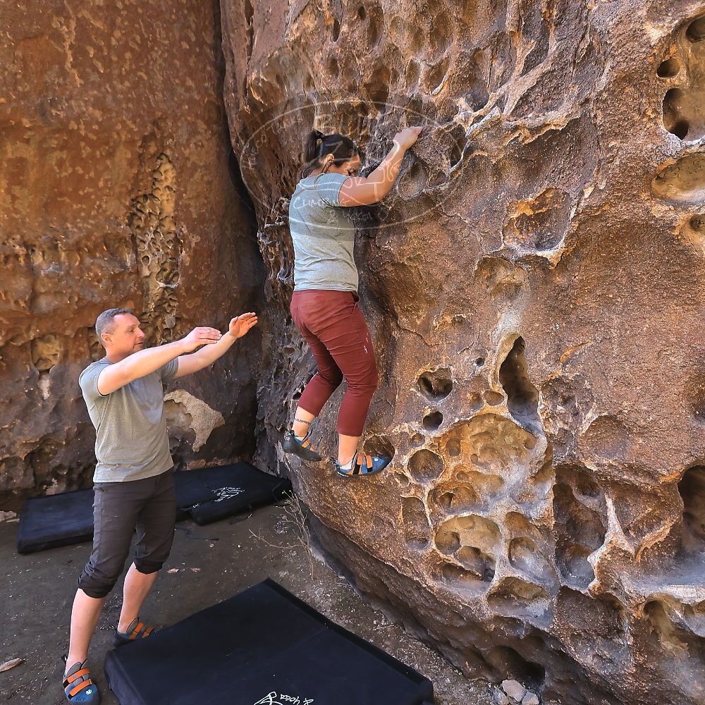 

Filename: SRM_20220403_1006480.jpg
Aperture: f/5.6
Shutter Speed: 1/160
Body: Canon EOS R6
Lens: Canon EF 16-35mm f/2.8 L