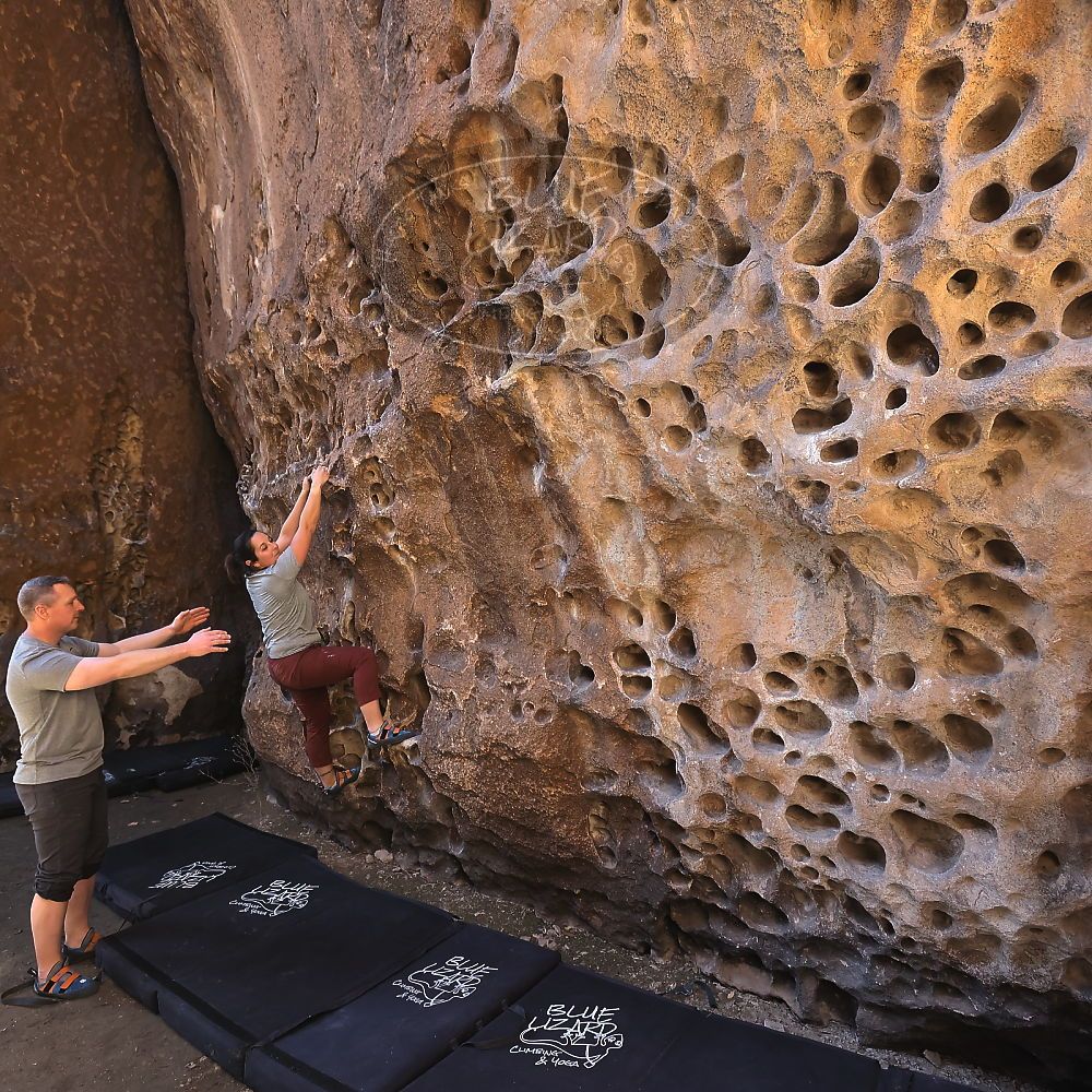 

Filename: SRM_20220403_1007060.jpg
Aperture: f/5.6
Shutter Speed: 1/160
Body: Canon EOS R6
Lens: Canon EF 16-35mm f/2.8 L