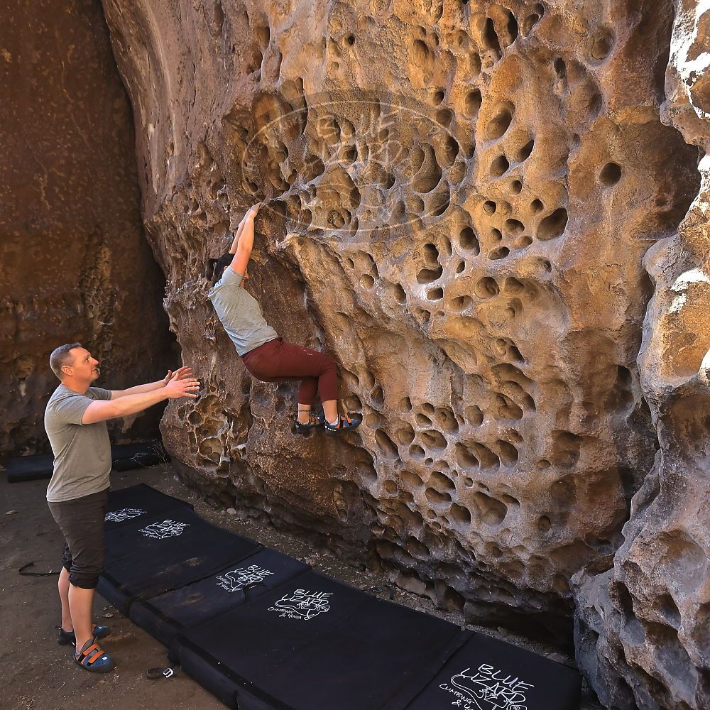 

Filename: SRM_20220403_1008130.jpg
Aperture: f/5.6
Shutter Speed: 1/160
Body: Canon EOS R6
Lens: Canon EF 16-35mm f/2.8 L