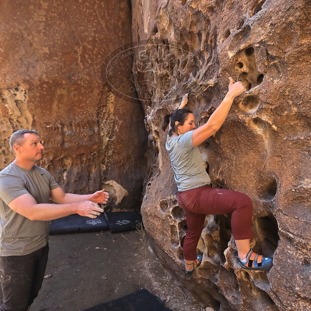 

Filename: SRM_20220403_1018090.jpg
Aperture: f/5.6
Shutter Speed: 1/160
Body: Canon EOS R6
Lens: Canon EF 16-35mm f/2.8 L