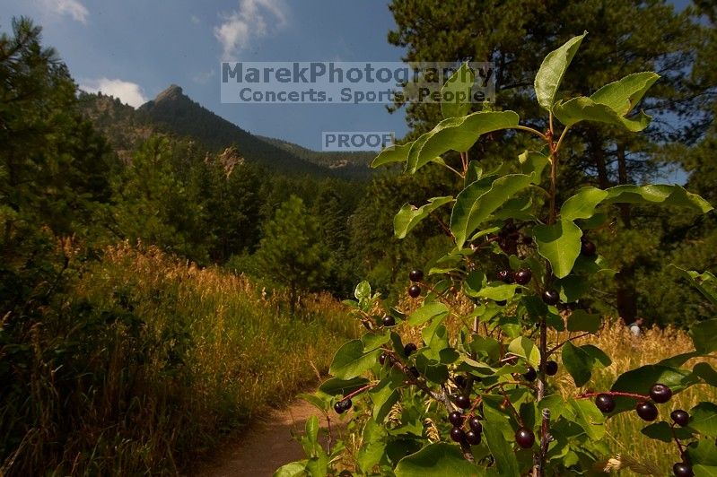 Kelly Kiefer's and John Saalwachter's wedding.
Filename: SRM_20070729_1145421.jpg
Aperture: f/16.0
Shutter Speed: 1/200
Body: Canon EOS-1D Mark II
Lens: Sigma 15-30mm f/3.5-4.5 EX Aspherical DG DF
