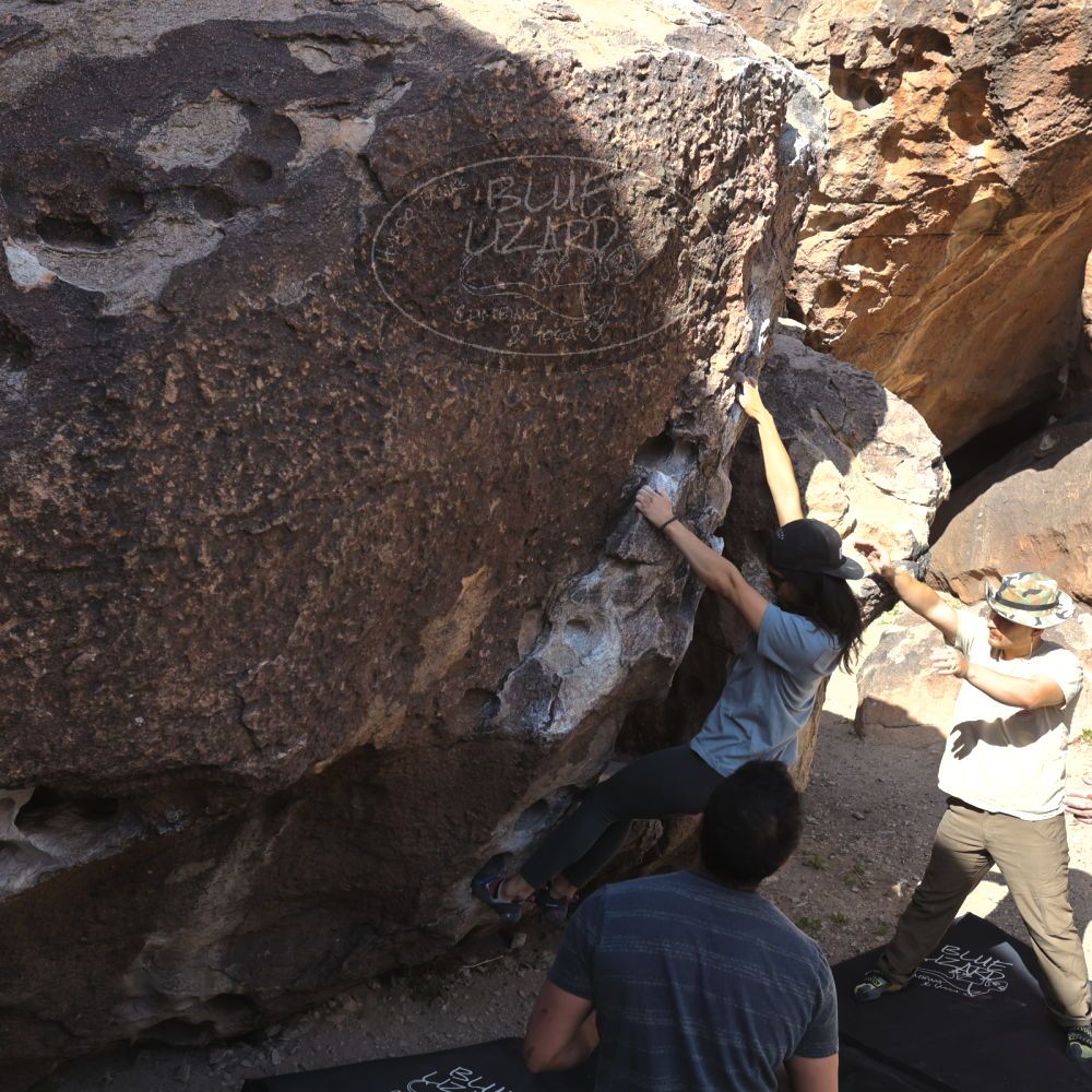 Filename: SRM_20220408_0908540.jpg
Aperture: f/8.0
Shutter Speed: 1/400
Body: Canon EOS R6
Lens: Canon EF 16-35mm f/2.8 L