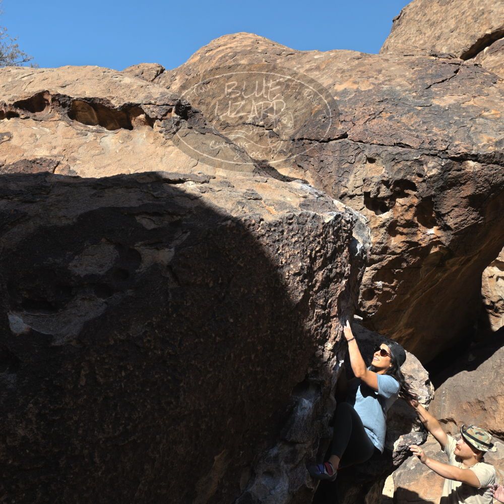 Filename: SRM_20220408_0909250.jpg
Aperture: f/8.0
Shutter Speed: 1/400
Body: Canon EOS R6
Lens: Canon EF 16-35mm f/2.8 L