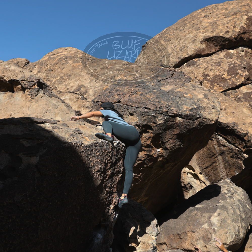 Filename: SRM_20220408_0910100.jpg
Aperture: f/8.0
Shutter Speed: 1/400
Body: Canon EOS R6
Lens: Canon EF 16-35mm f/2.8 L