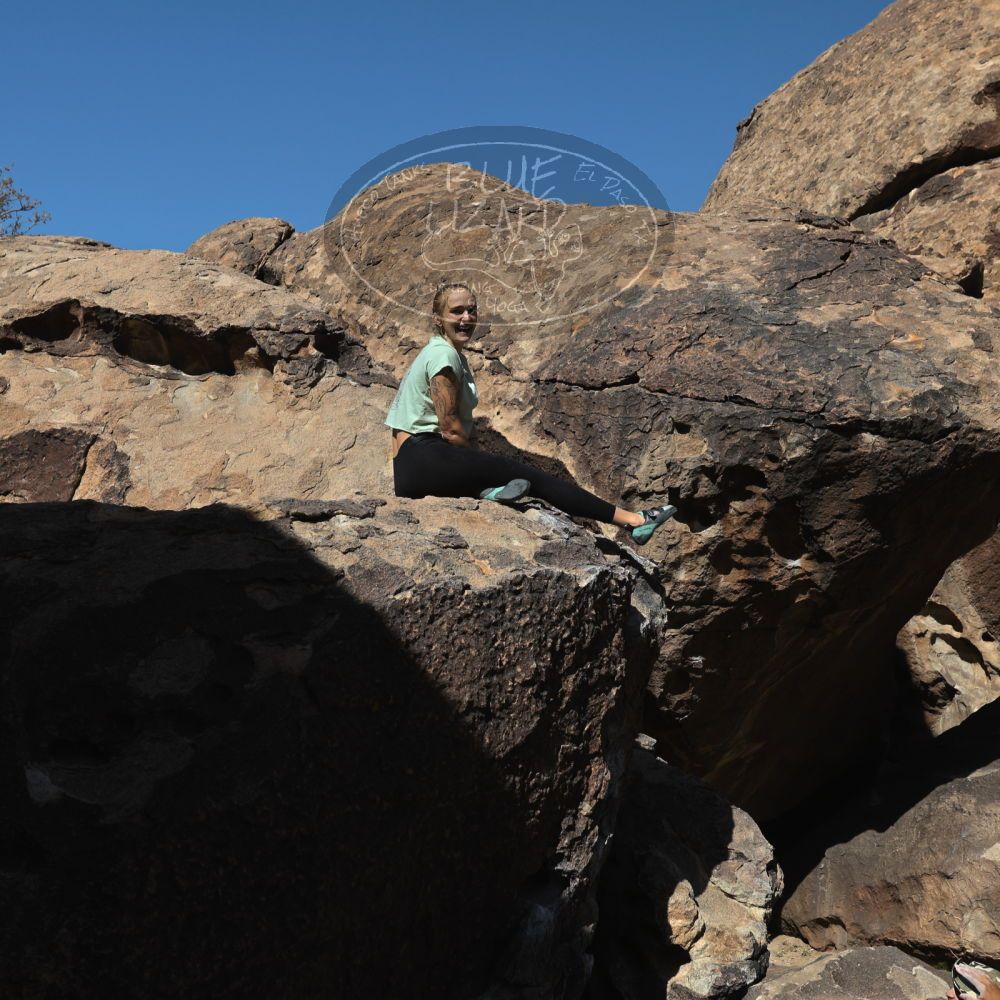 Filename: SRM_20220408_0920280.jpg
Aperture: f/8.0
Shutter Speed: 1/400
Body: Canon EOS R6
Lens: Canon EF 16-35mm f/2.8 L