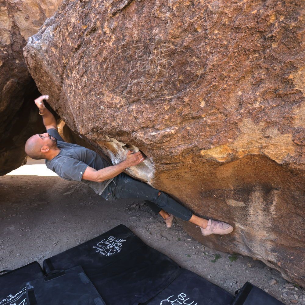 

Filename: SRM_20220408_0933130.jpg
Aperture: f/5.6
Shutter Speed: 1/400
Body: Canon EOS R6
Lens: Canon EF 16-35mm f/2.8 L