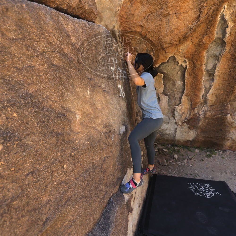 Filename: SRM_20220408_0958100.jpg
Aperture: f/4.0
Shutter Speed: 1/400
Body: Canon EOS R6
Lens: Canon EF 16-35mm f/2.8 L