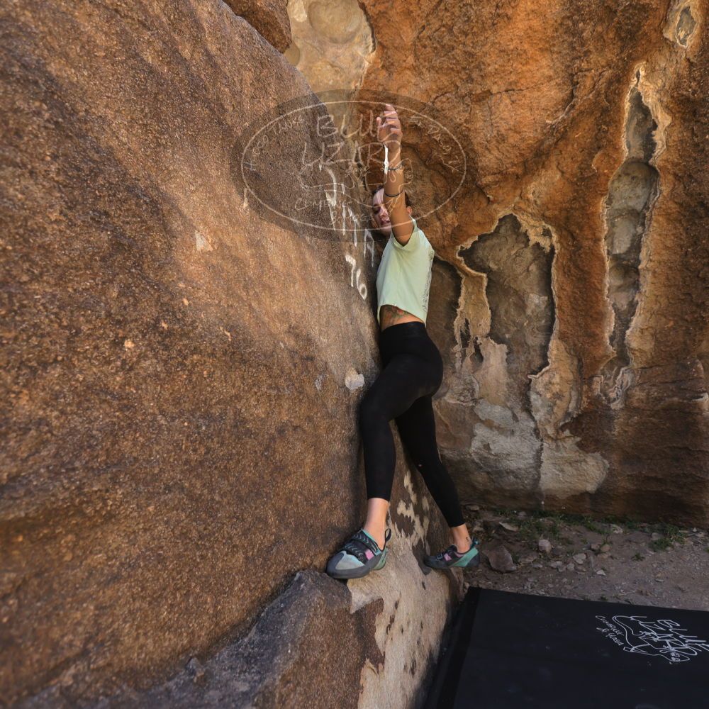 Filename: SRM_20220408_0958470.jpg
Aperture: f/4.0
Shutter Speed: 1/400
Body: Canon EOS R6
Lens: Canon EF 16-35mm f/2.8 L