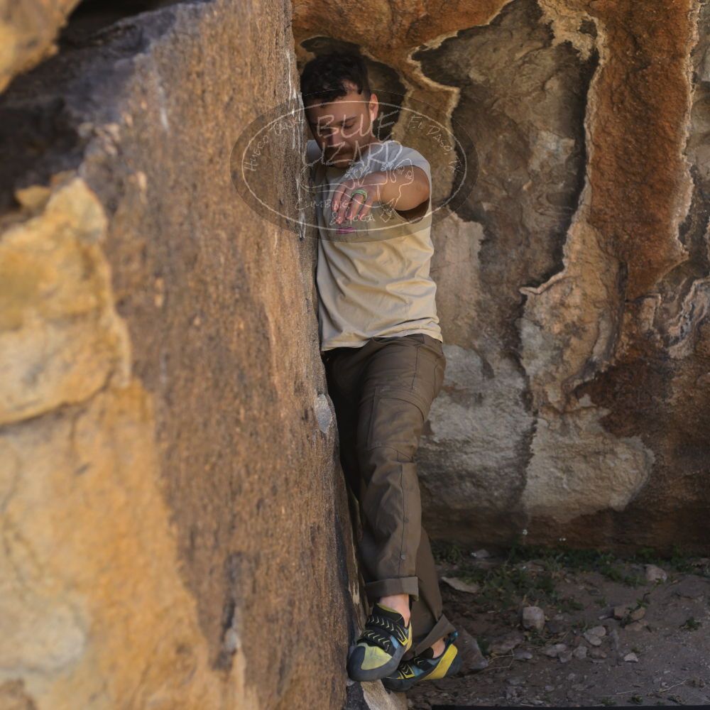 

Filename: SRM_20220408_1000530.jpg
Aperture: f/4.0
Shutter Speed: 1/400
Body: Canon EOS R6
Lens: Canon EF 50mm f/1.8 II