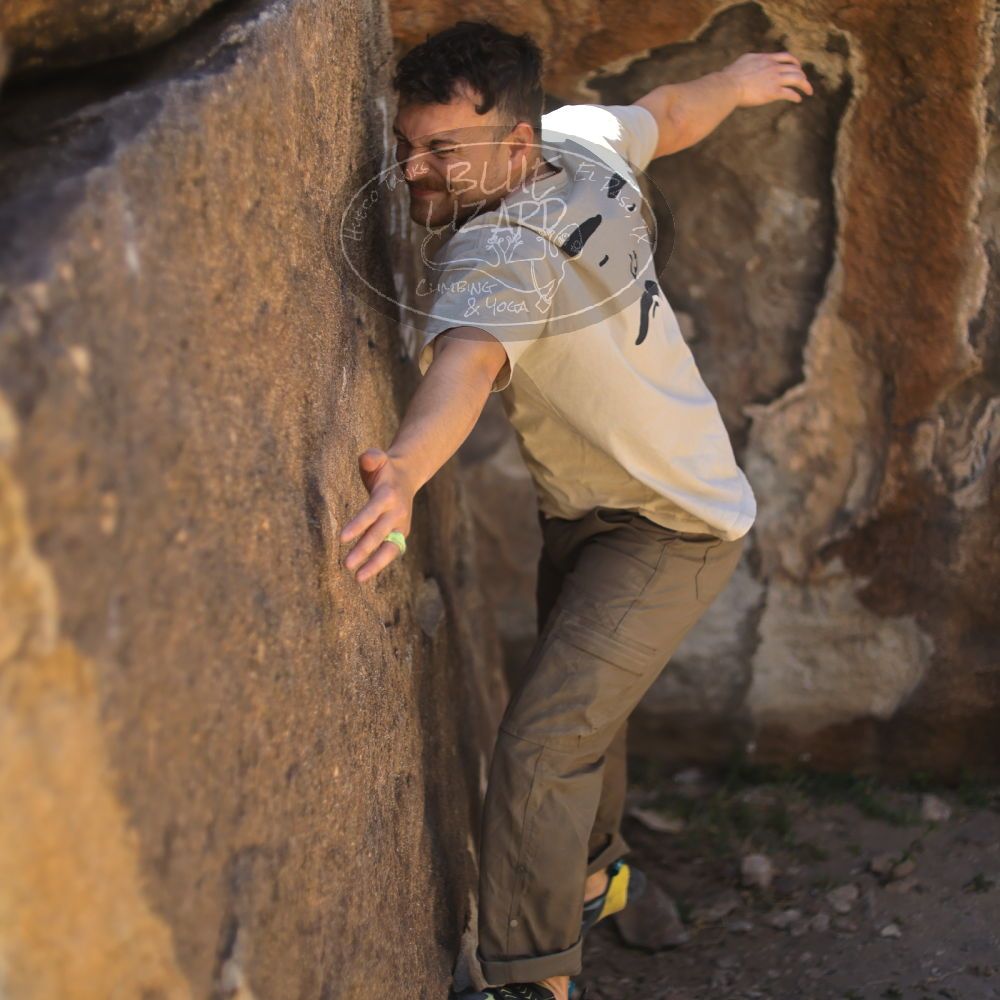 Filename: SRM_20220408_1001110.jpg
Aperture: f/2.0
Shutter Speed: 1/1000
Body: Canon EOS R6
Lens: Canon EF 50mm f/1.8 II