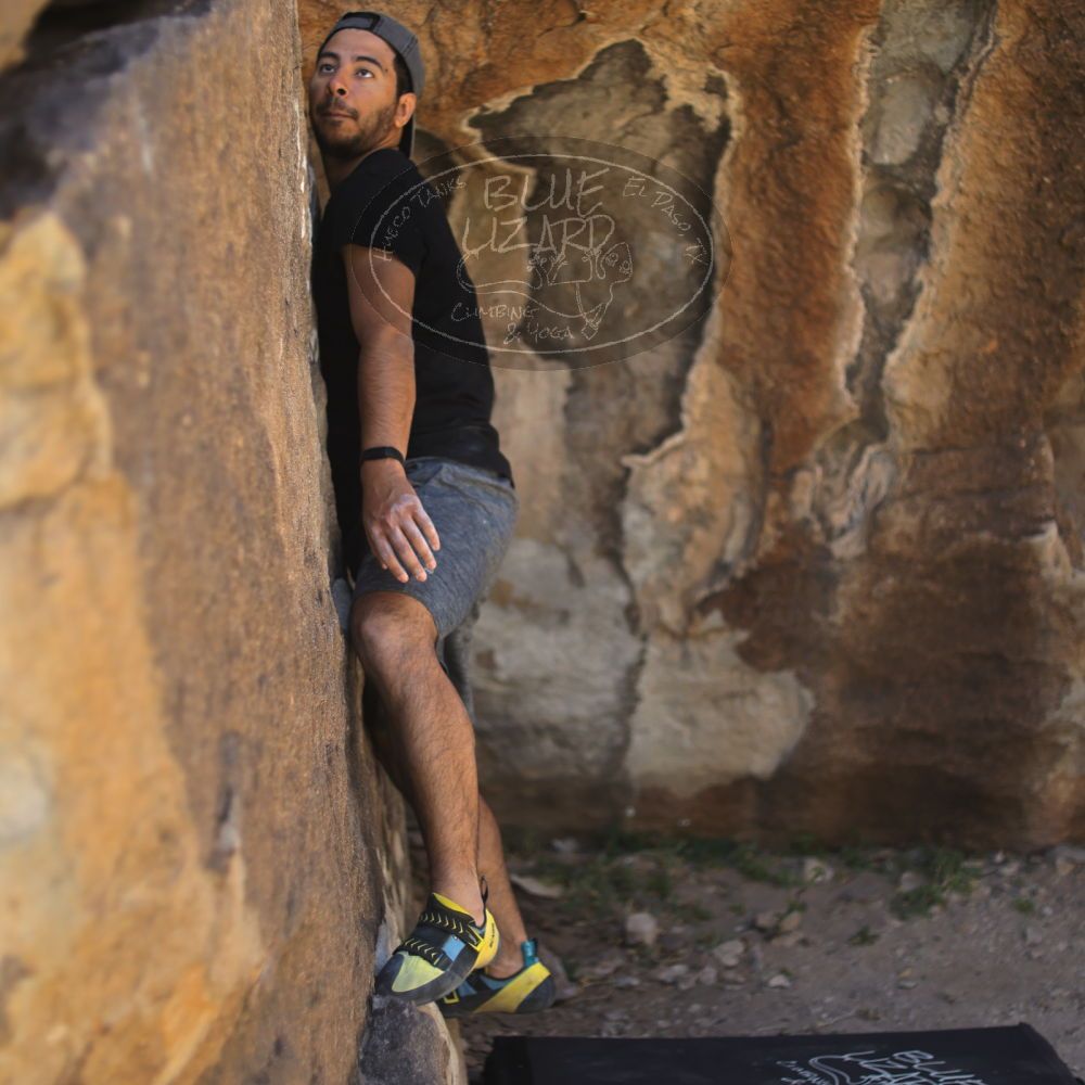 Filename: SRM_20220408_1002120.jpg
Aperture: f/2.0
Shutter Speed: 1/1000
Body: Canon EOS R6
Lens: Canon EF 50mm f/1.8 II