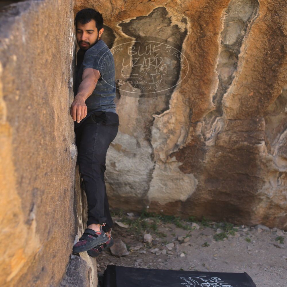 Filename: SRM_20220408_1004380.jpg
Aperture: f/2.8
Shutter Speed: 1/500
Body: Canon EOS R6
Lens: Canon EF 50mm f/1.8 II