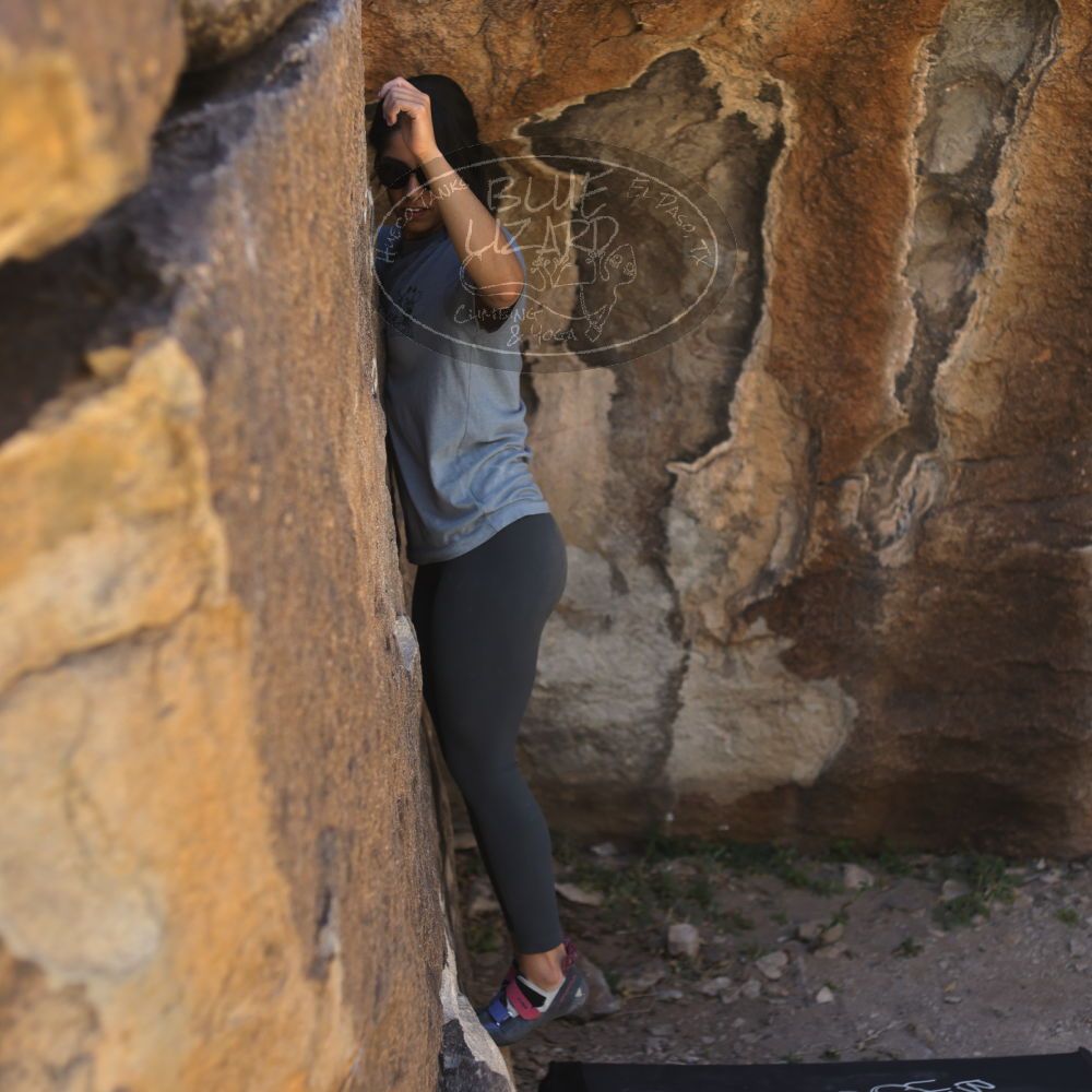 Filename: SRM_20220408_1005140.jpg
Aperture: f/2.8
Shutter Speed: 1/500
Body: Canon EOS R6
Lens: Canon EF 50mm f/1.8 II