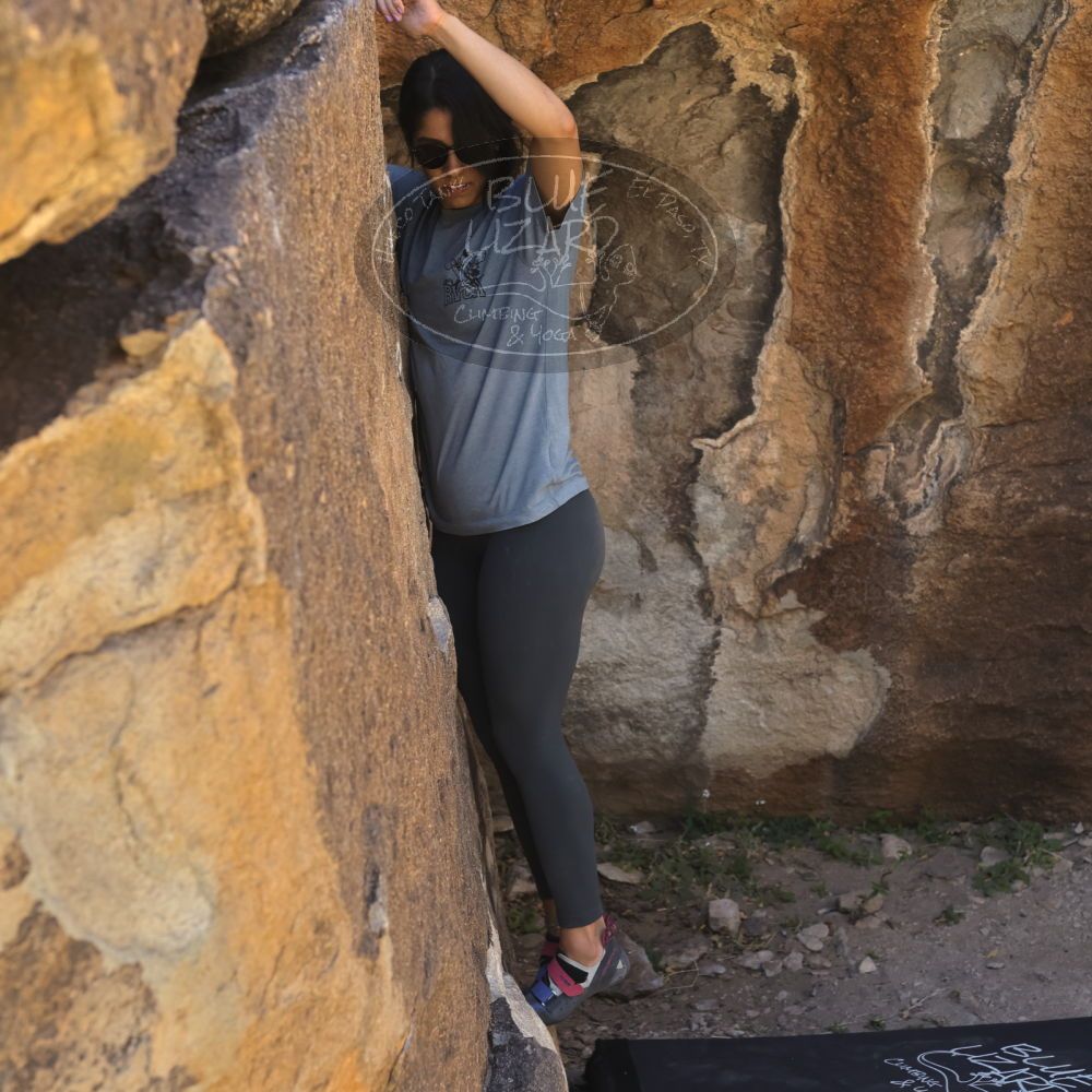 Filename: SRM_20220408_1005300.jpg
Aperture: f/5.6
Shutter Speed: 1/500
Body: Canon EOS R6
Lens: Canon EF 50mm f/1.8 II