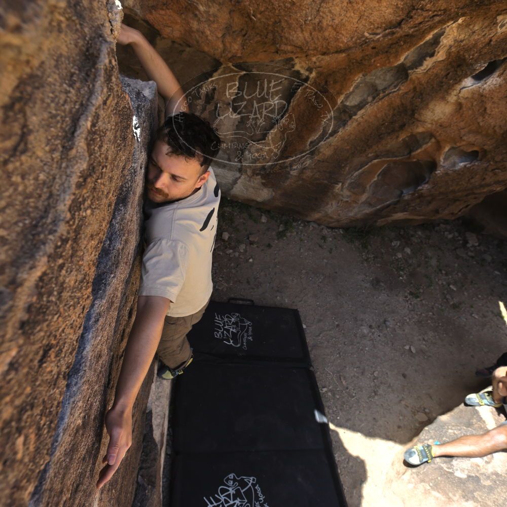 Filename: SRM_20220408_1018210.jpg
Aperture: f/5.6
Shutter Speed: 1/250
Body: Canon EOS R6
Lens: Canon EF 16-35mm f/2.8 L