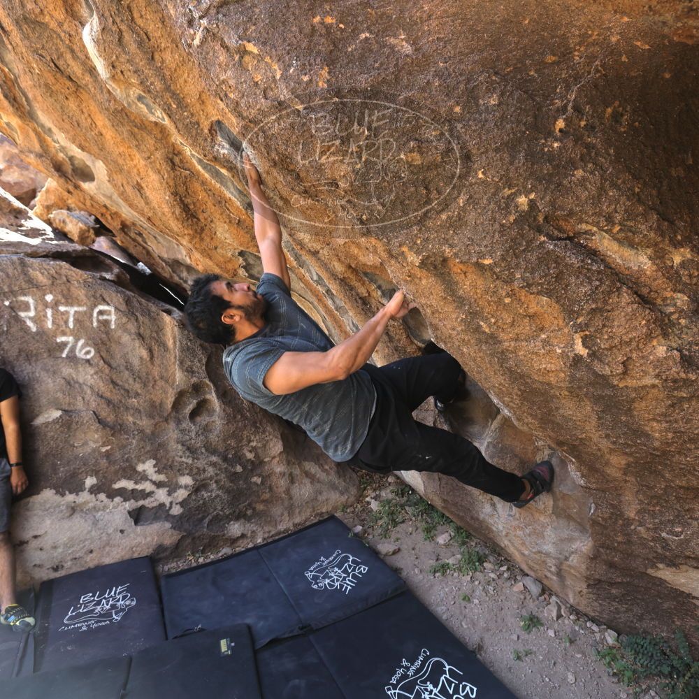 Filename: SRM_20220408_1028290.jpg
Aperture: f/5.6
Shutter Speed: 1/320
Body: Canon EOS R6
Lens: Canon EF 16-35mm f/2.8 L