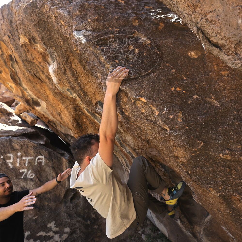 

Filename: SRM_20220408_1029560.jpg
Aperture: f/5.6
Shutter Speed: 1/320
Body: Canon EOS R6
Lens: Canon EF 16-35mm f/2.8 L